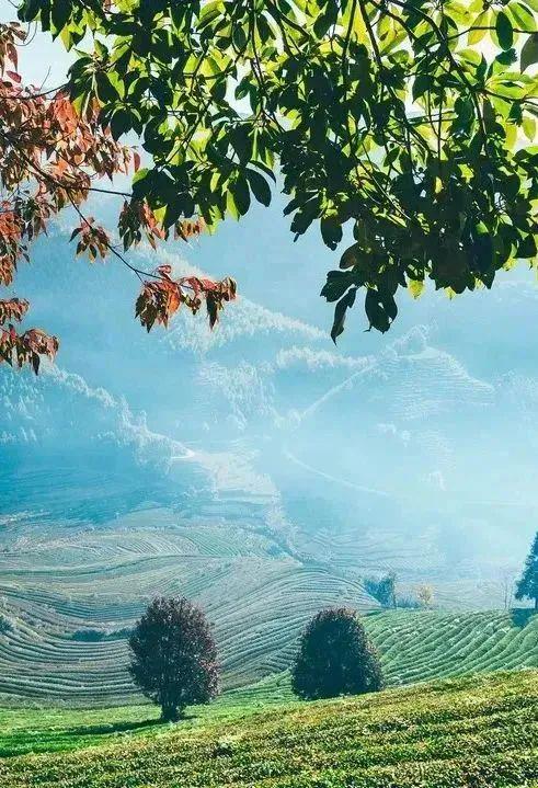 “2022美丽中国·深呼吸小城”名单，福建8地入围