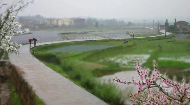 “2022美丽中国·深呼吸小城”名单，福建8地入围