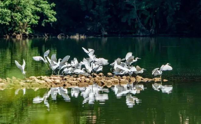 “2022美丽中国·深呼吸小城”名单，福建8地入围