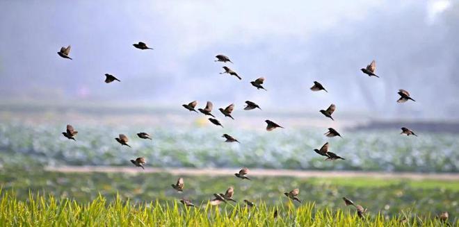 “2022美丽中国·深呼吸小城”名单，福建8地入围