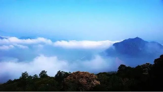 “2022美丽中国·深呼吸小城”名单，福建8地入围