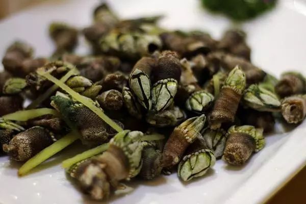 霞浦有哪些经典的40样小吃?吃过才算本地人!