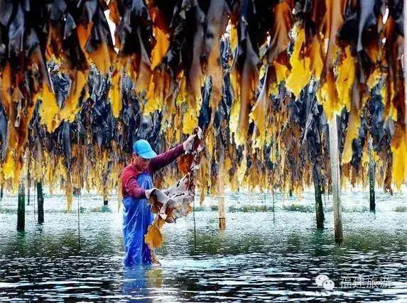 从未体验过的霞浦味道:16道美食推荐