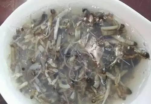 福建霞浦五十二道本地美食