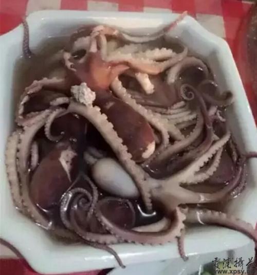 福建霞浦五十二道本地美食