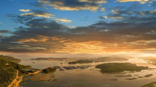 八闽文脉·风物｜光饼：小吃中的传奇，福建人的乡愁“解药”