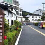 乡村振兴在行动丨从散户经营到产业组团 闽东山村“联”出振兴新路子
