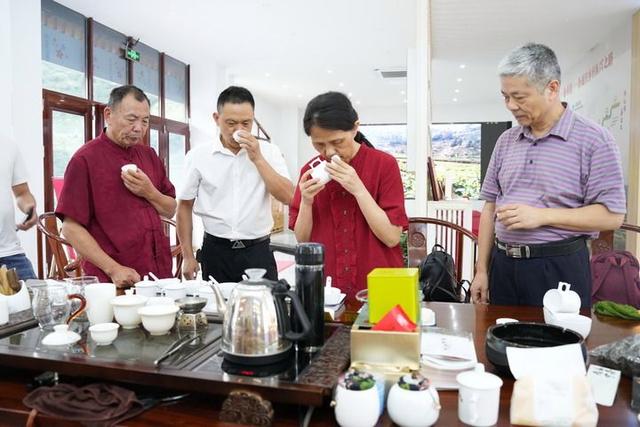 新华社今日聚焦八闽福建：鸾峰桥见证——闽东宁德振兴启示录