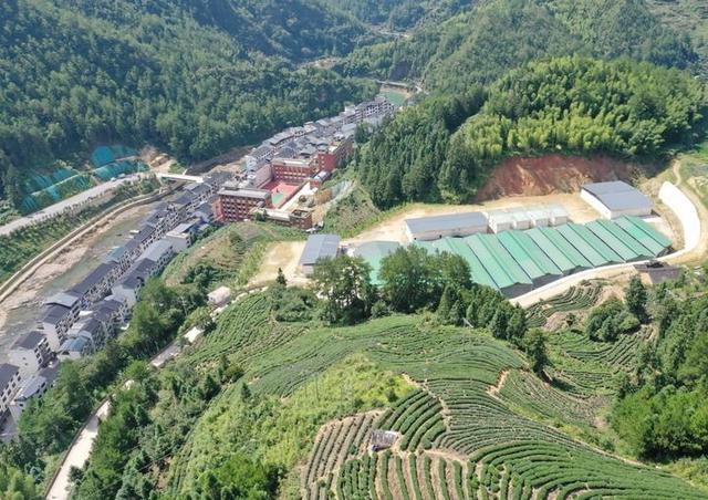 新华社今日聚焦八闽福建：鸾峰桥见证——闽东宁德振兴启示录