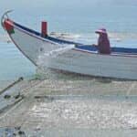 福建泉港：紫菜泼苗 期待丰收