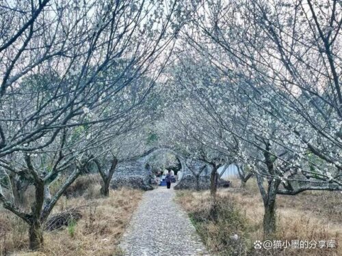 漳州市诏安县旅游攻略