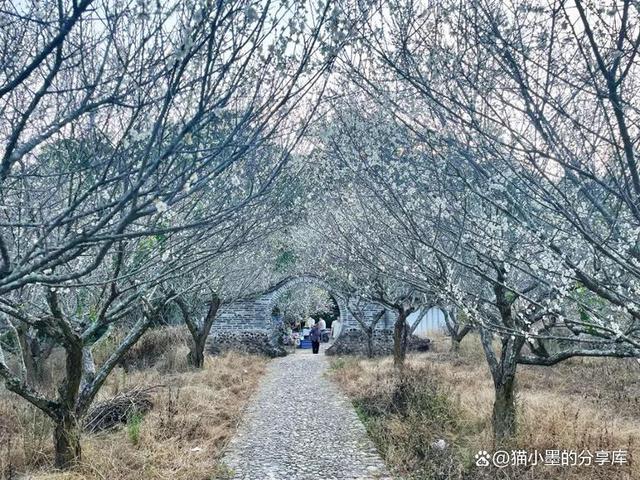 漳州市诏安县旅游攻略