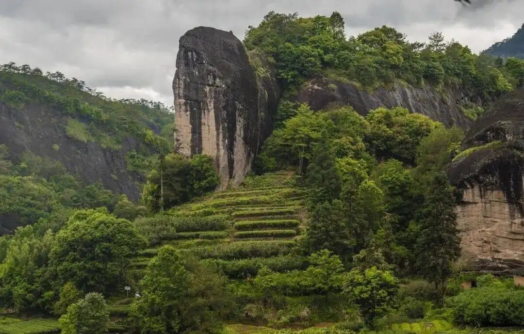 福建最值得去的8个地方,有车没车都要出发一趟,你去过几个?