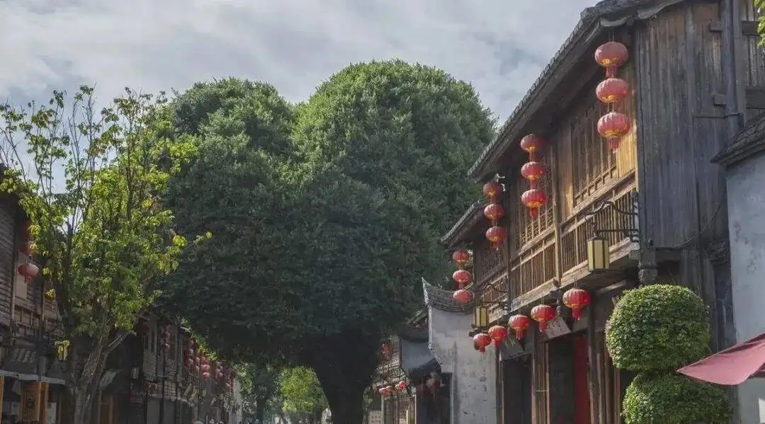 福建最值得去的8个地方,有车没车都要出发一趟,你去过几个?