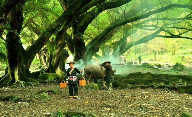 福建宁德霞浦县数一数二的大镇，名字很独特，是全国重点镇