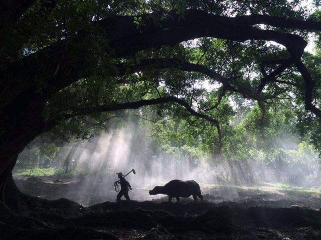 福建宁德霞浦县数一数二的大镇，名字很独特，是全国重点镇