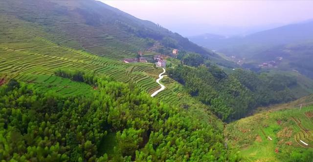 始建于元末明初,福建发现“齐天大圣”墓和记载的不太一样