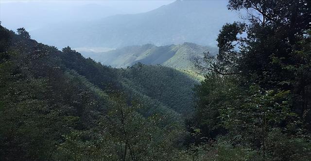 始建于元末明初,福建发现“齐天大圣”墓和记载的不太一样