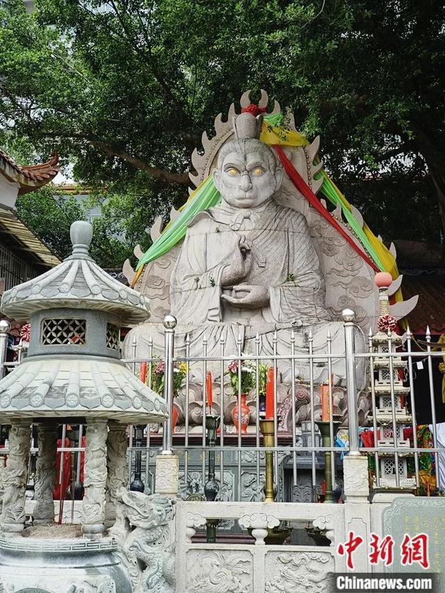 不管你信不信,我们在福建找到了“齐天大圣”!