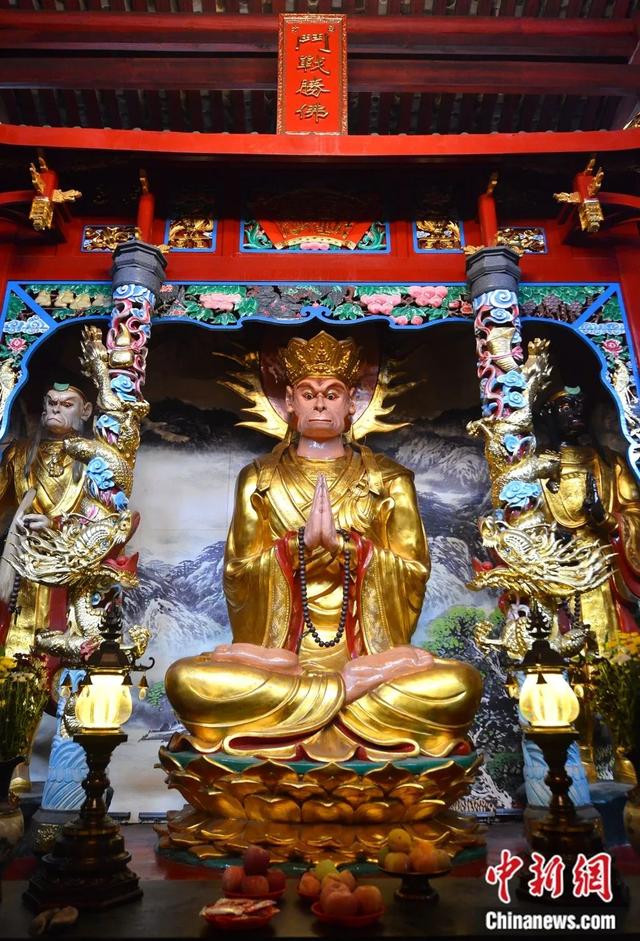 不管你信不信,我们在福建找到了“齐天大圣”!