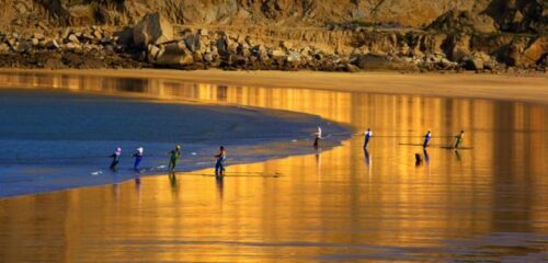 一碗“妈祖面”，藏着湄洲岛人最深情的祝愿