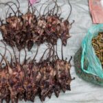 福建黑暗料理图鉴：五款挑战味蕾的美食，你有勇气尝尝吗？