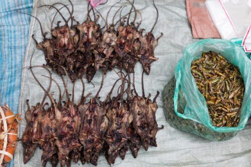 福建黑暗料理图鉴：五款挑战味蕾的美食，你有勇气尝尝吗？