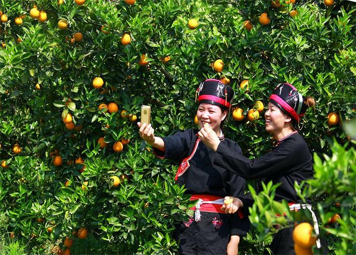 每年9月福建省少数民族庆祝“中国农民丰收节”来啦！
