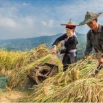 每年9月福建省少数民族庆祝“中国农民丰收节”来啦！