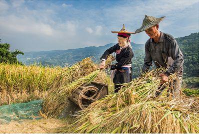 每年9月福建省少数民族庆祝“中国农民丰收节”来啦！