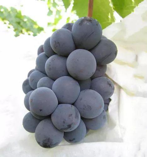 每年9月福建省少数民族庆祝“中国农民丰收节”来啦！