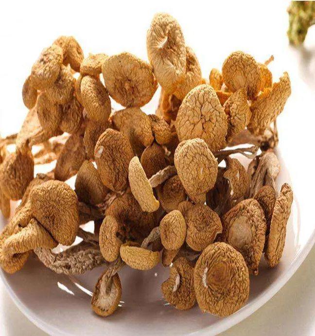 每年9月福建省少数民族庆祝“中国农民丰收节”来啦！