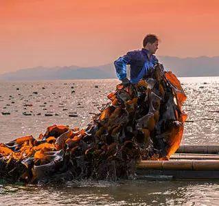 每年9月福建省少数民族庆祝“中国农民丰收节”来啦！