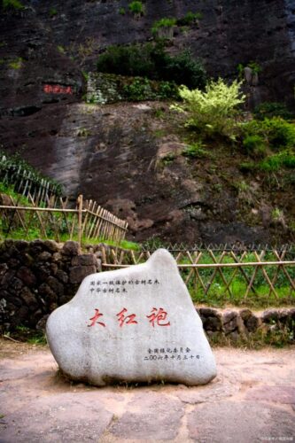 福建必买十大特产，闽南风情不容错过！