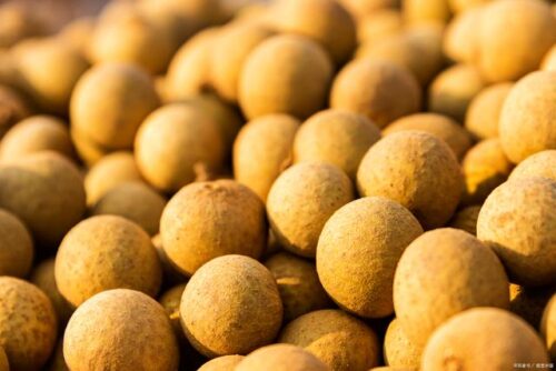 福建十大特产美食，每一道都是佳品，最后一个被称作“中国汉堡”