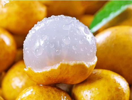 福建水果特产有哪些?气候造就的独特风味,你知道吗?
