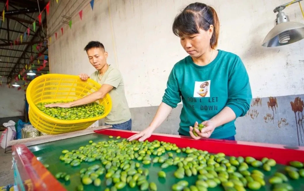 厉害了我的大福建!四海传福,这个“C位”你当仁不让!