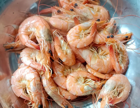 霞浦特产都有哪些？霞浦的十大必买特产