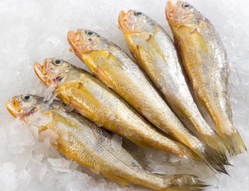 霞浦特产都有哪些？霞浦的十大必买特产