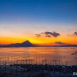 海里的“冬虫夏草”，海带嫩苗，神仙般的口感