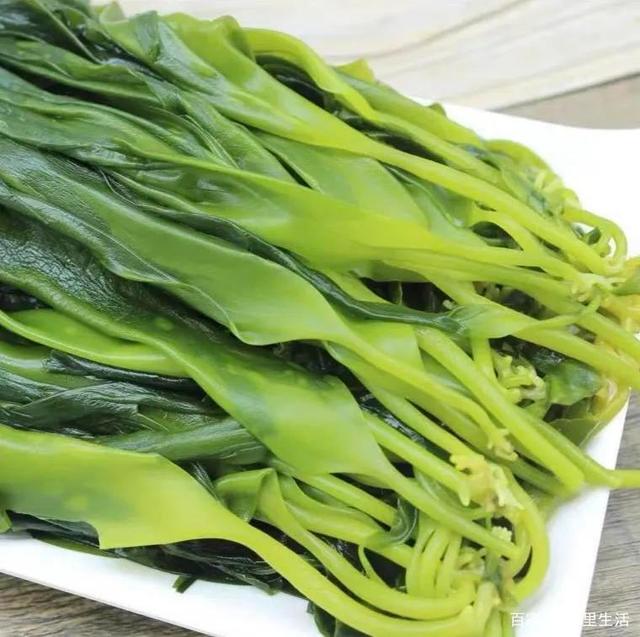 海里的“冬虫夏草”,海带嫩苗,神仙般的口感