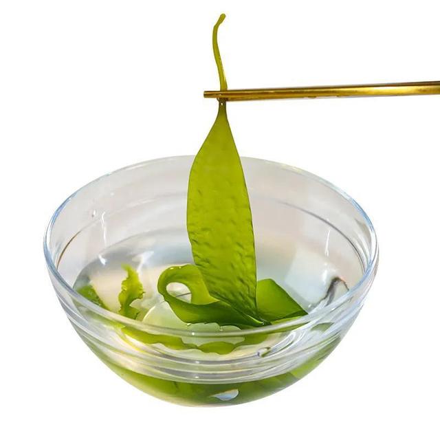 海里的“冬虫夏草”,海带嫩苗,神仙般的口感
