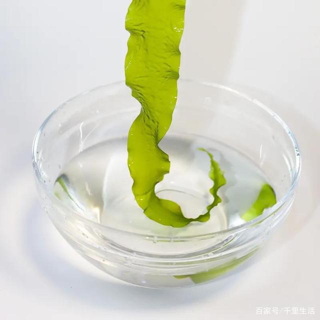 海里的“冬虫夏草”,海带嫩苗,神仙般的口感