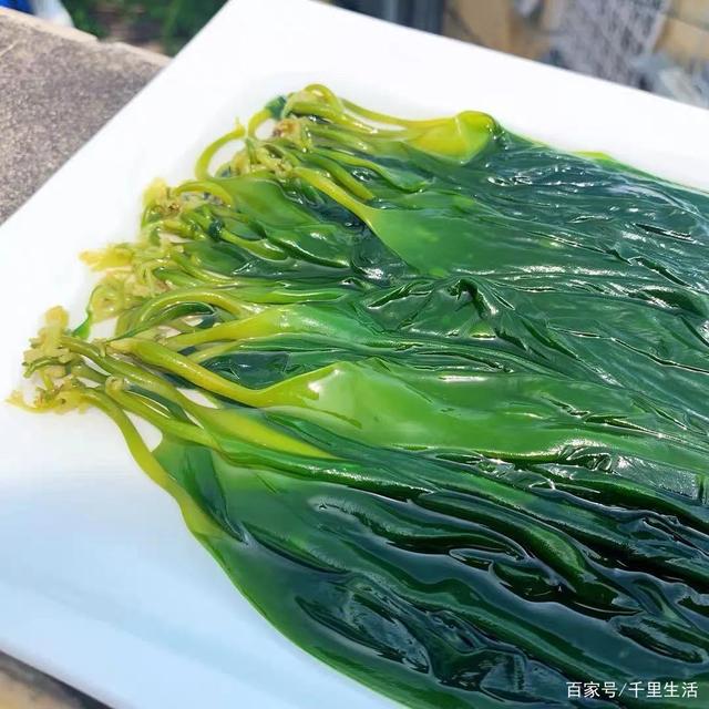 海里的“冬虫夏草”,海带嫩苗,神仙般的口感