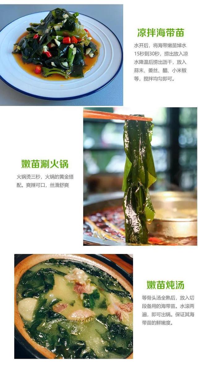 海里的“冬虫夏草”,海带嫩苗,神仙般的口感