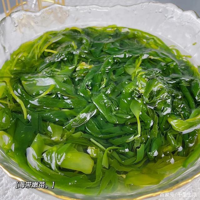 海里的“冬虫夏草”,海带嫩苗,神仙般的口感