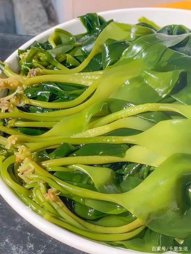 海里的“冬虫夏草”,海带嫩苗,神仙般的口感