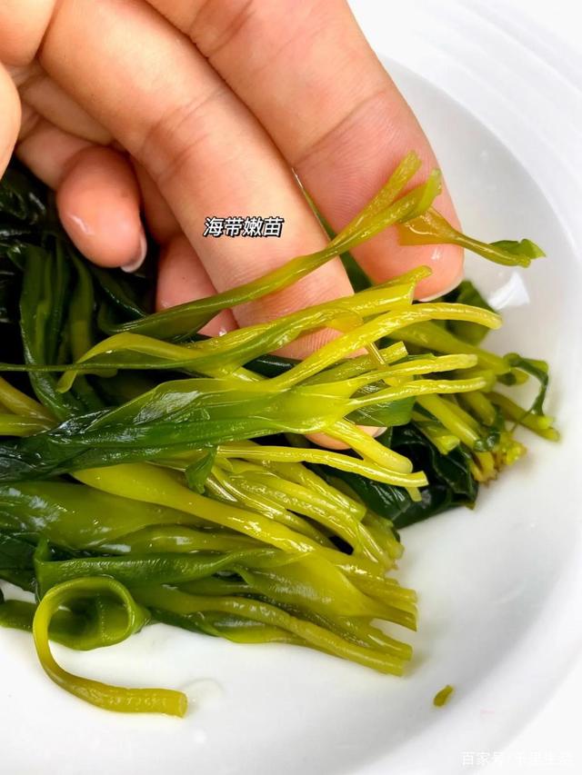 海里的“冬虫夏草”,海带嫩苗,神仙般的口感