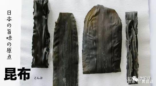 中国古代有海带吗？海带与昆布又是什么关系？霞浦是海带紫菜之乡