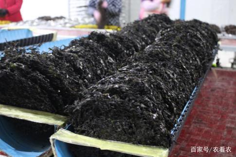 年产达到13万吨,价值达到110亿,出口65个国家,吃货:吃不起